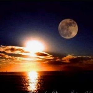 Meet your Posher, Yesenia